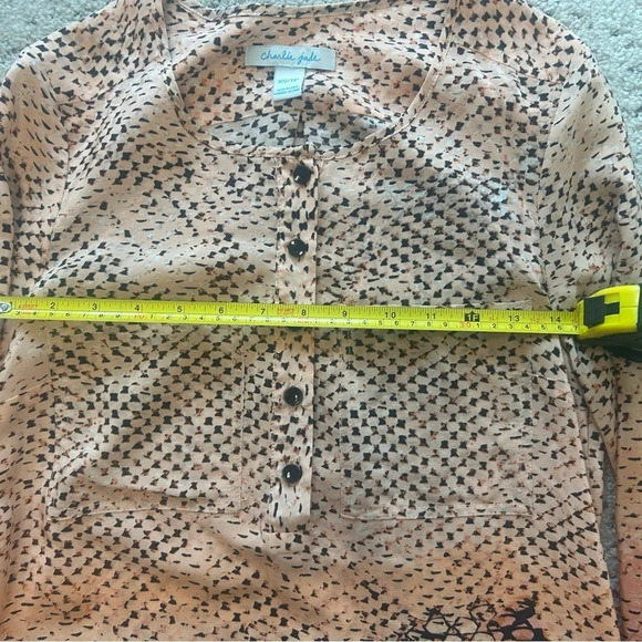 Charlie Jade silk dress XS 2 piece with beautiful  pink slip near new condition - Picture 11 of 14